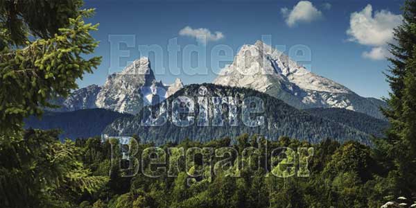 Bergader Molkerei Full Service Online Media Agentur Hamburg