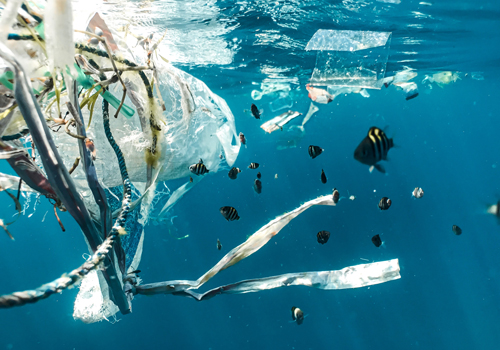 Plastikmüll in den Meeren